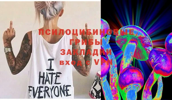 бошки Алексеевка