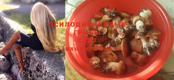 герыч Алексин