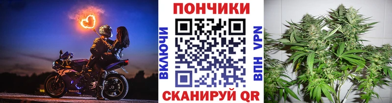 гидра ONION Карачаевск Бошки марихуана Amnesia